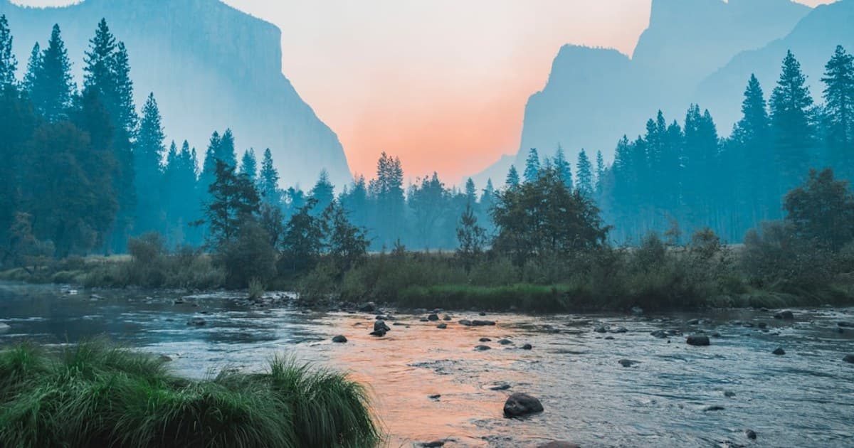 What Are Terpenes? How They Shape Your Cannabis Experience