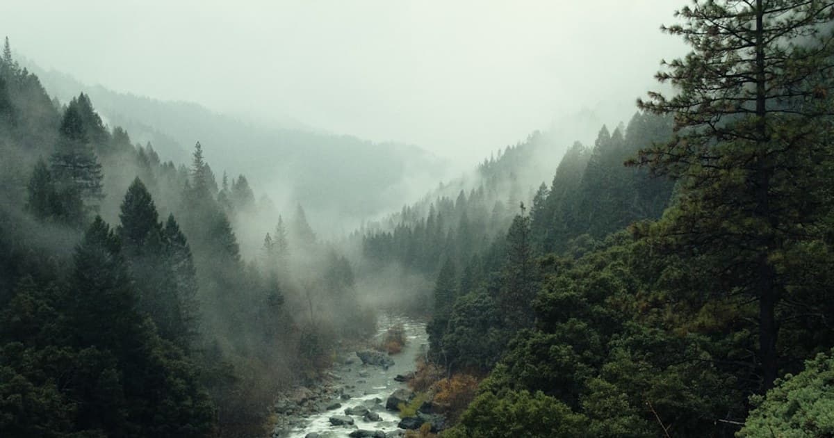 Cannabis and Mental Health: Benefits, Risks, and What We Know