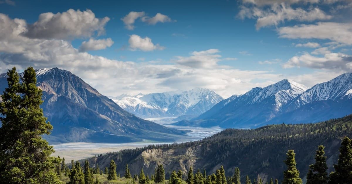 CBD Oil Benefits: What the Research Supports (and What It Doesn't)