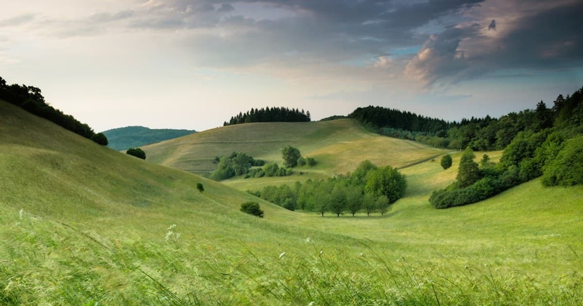 Cannabis for Anxiety: Does It Help or Make It Worse?