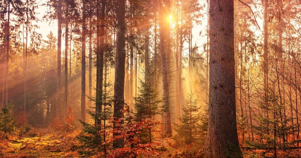 Microdosing Cannabis: What It Is and Why People Do It