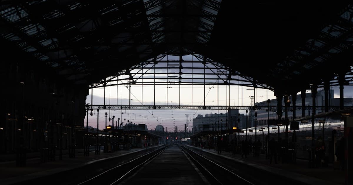 The Complete Guide to Cannabis Strains: How to Choose the Right One