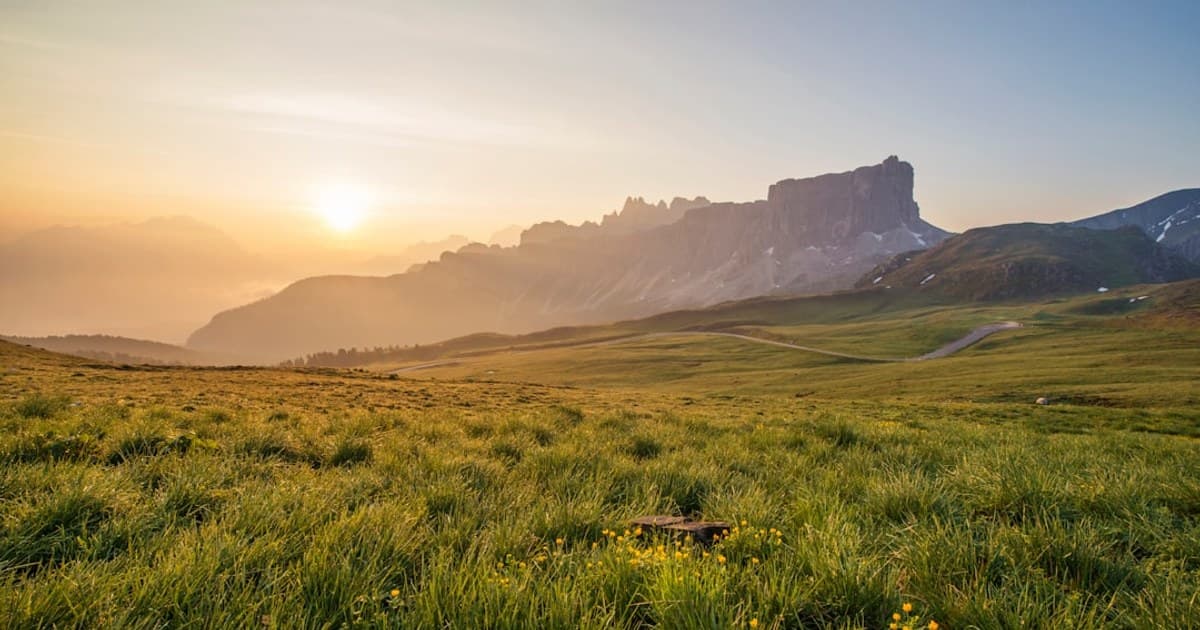 THC vs. CBD: Effects, Benefits, and Key Differences