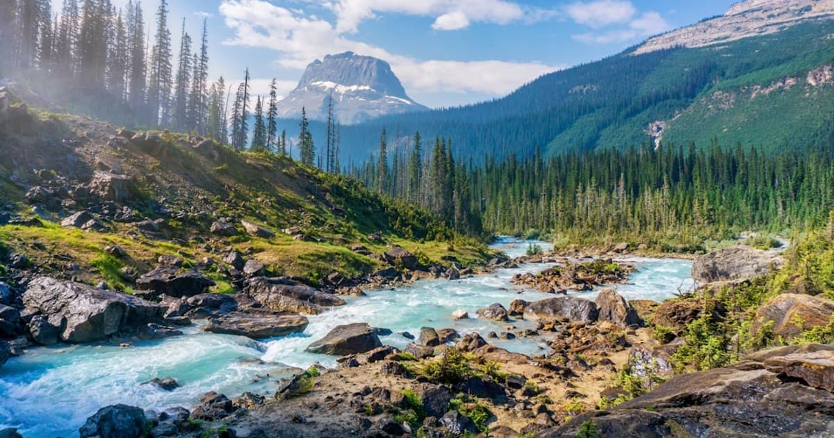 Sativa vs. Indica vs. Hybrid: What's the Real Difference?