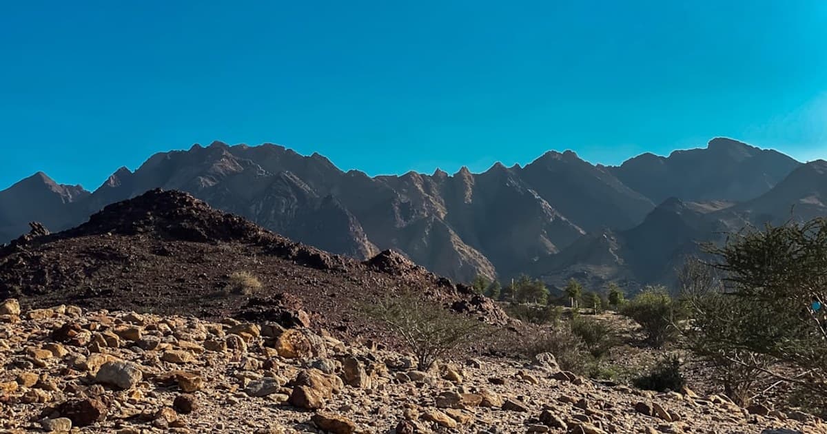 Big Sky Outdoors: A Cannabis-Aware Guide to Montana Skiing, Fishing, Hiking, and Hunting