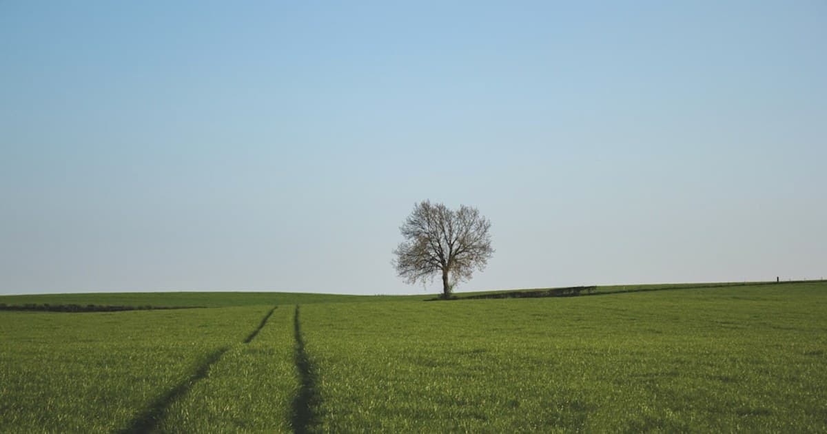 Bozeman Hot Springs: The Commercial Soak, Cannabis-Aware