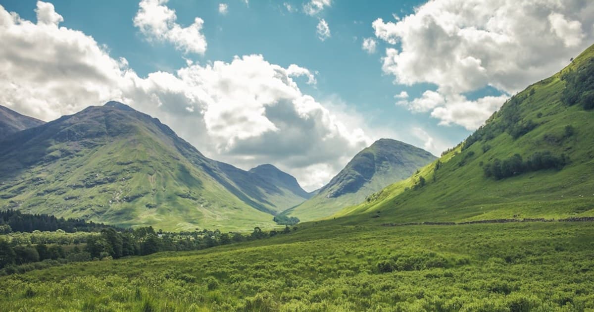 Montana Harvest and Cure: Drying in a Low-Humidity Climate