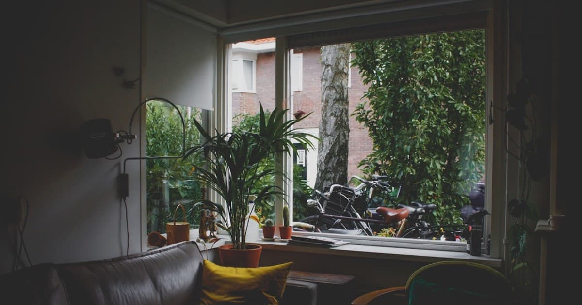 Montana Home Grow: Sourcing Clones and Seedlings Through Licensed Channels