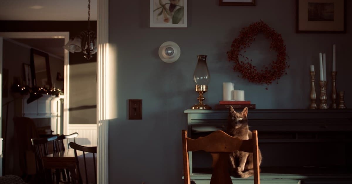 Red Lodge Rodeo Weekend: Home of Champions, Cannabis-Aware