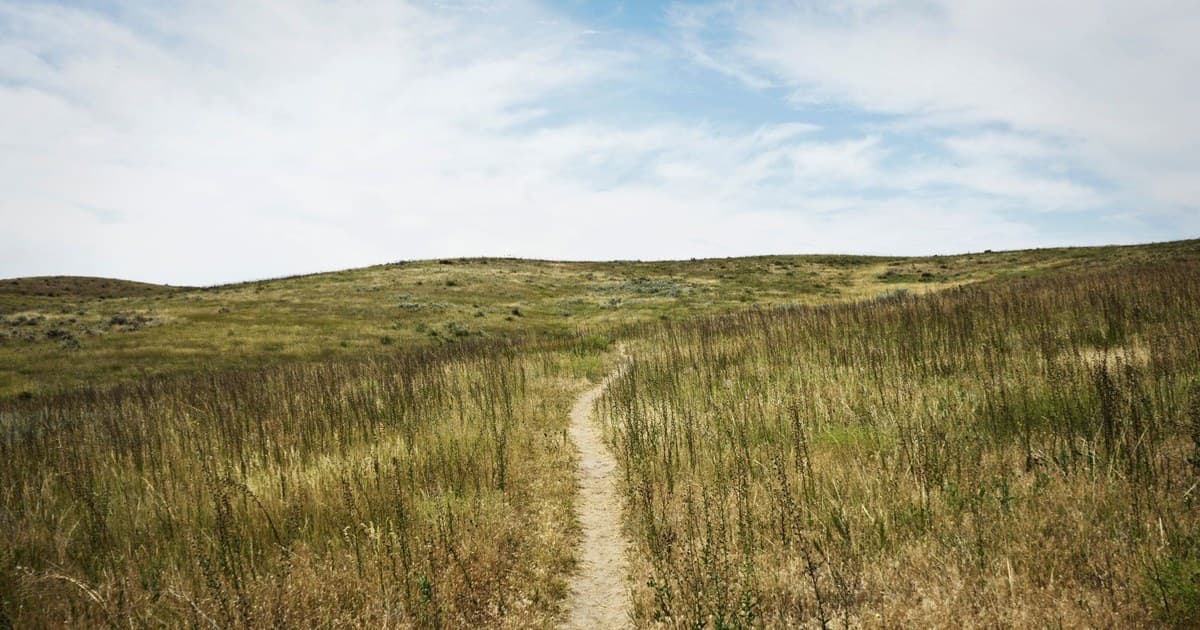 Explore a serene unpaved pathway winding through a lush meadow in Billings, Montana.